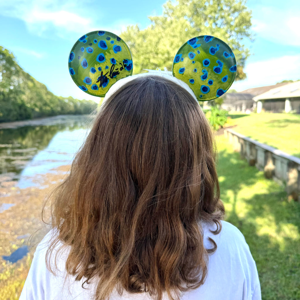 Hand Painted Fish Flank Headbands