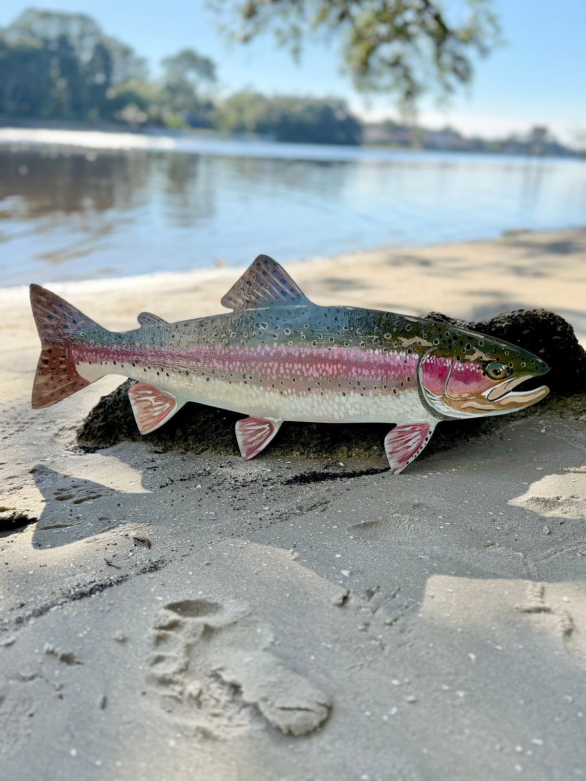 Rainbow Trout Free Hanging Wall Art