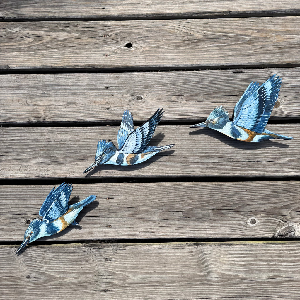 3D Kingfisher Dive Sequence