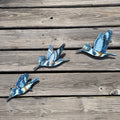 3D Kingfisher Dive Sequence