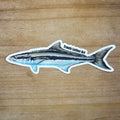 Cobia Sticker