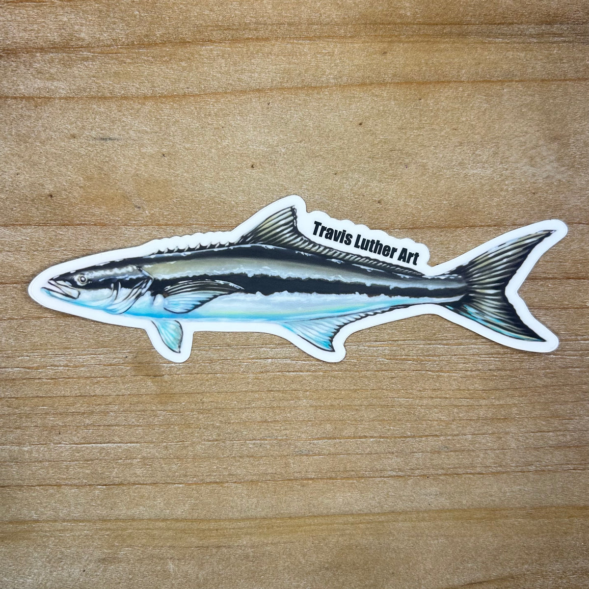 Cobia Sticker – Travis Luther Art