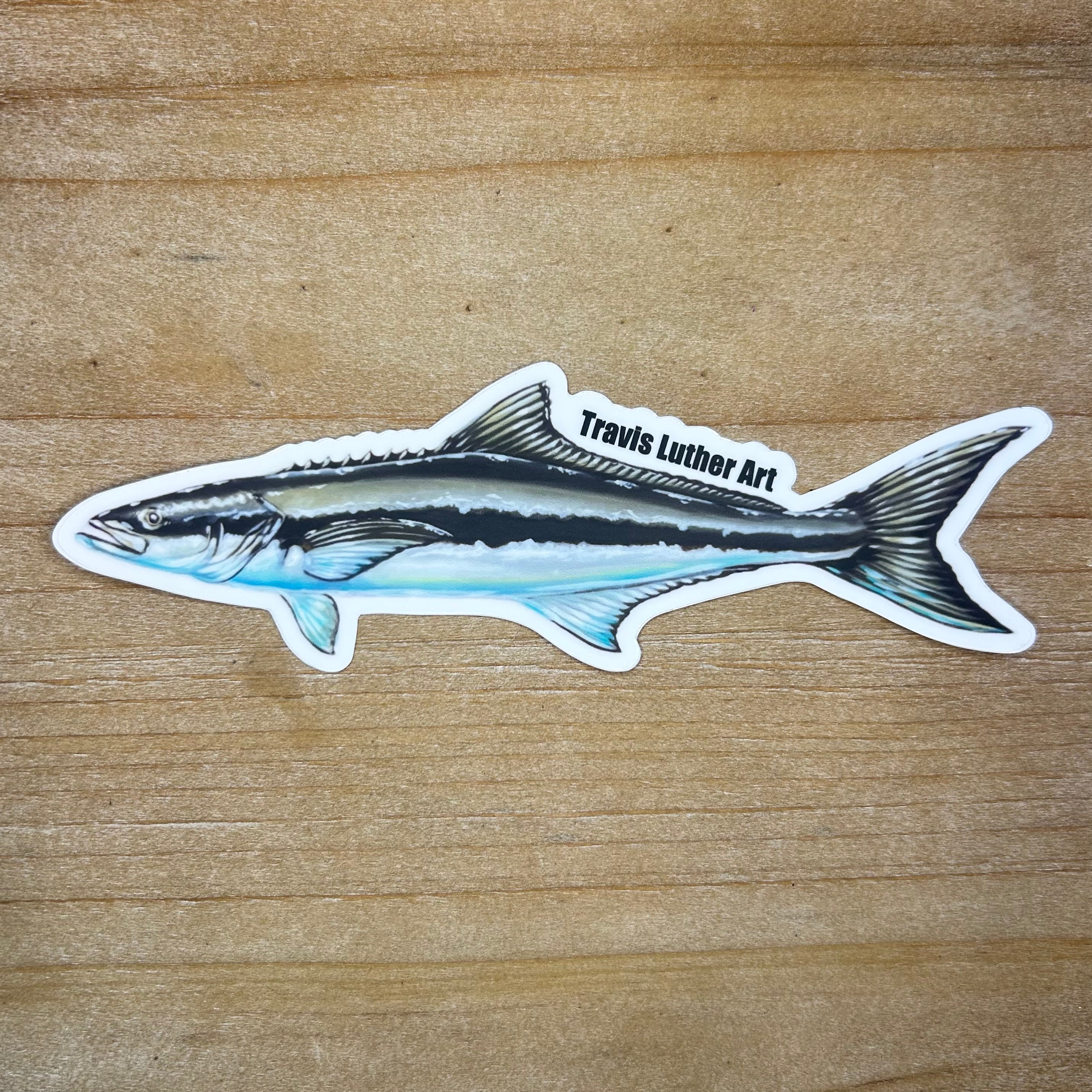 Cobia Sticker