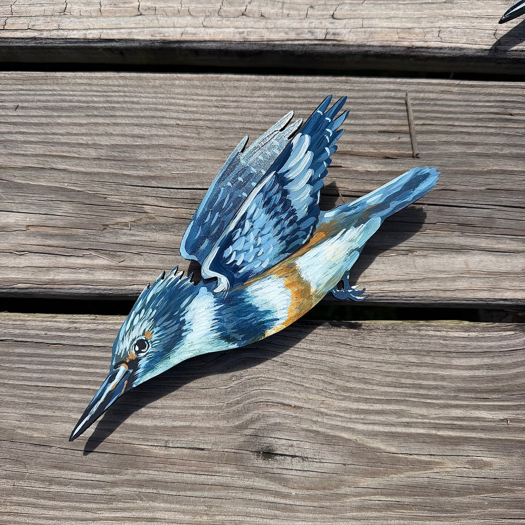 3D Kingfisher Dive Sequence