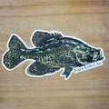 Crappie Sticker