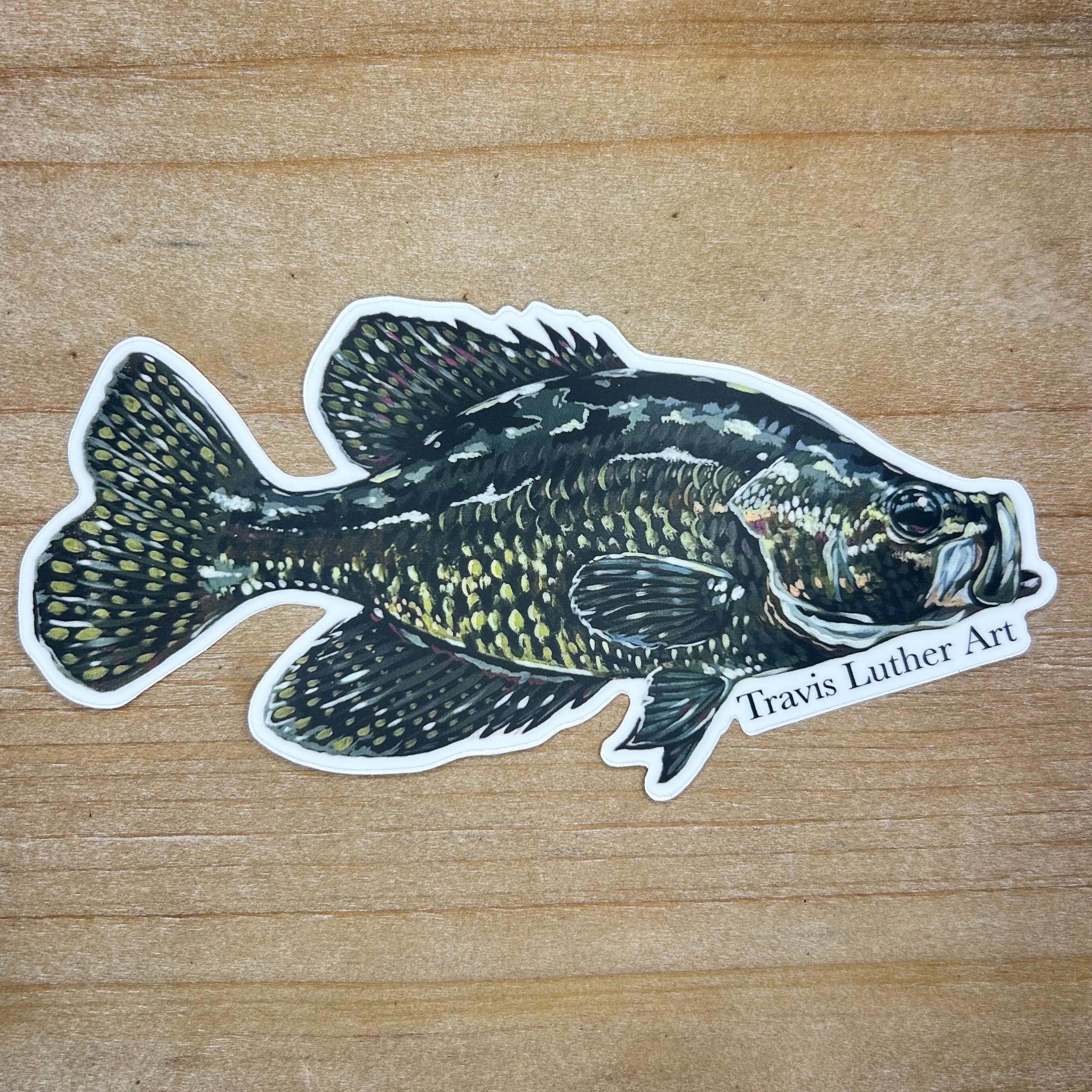 Crappie Sticker