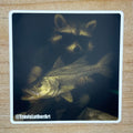 Rusty Whiskers Nighttime Snook Sticker