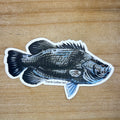 Triple Tail Sticker