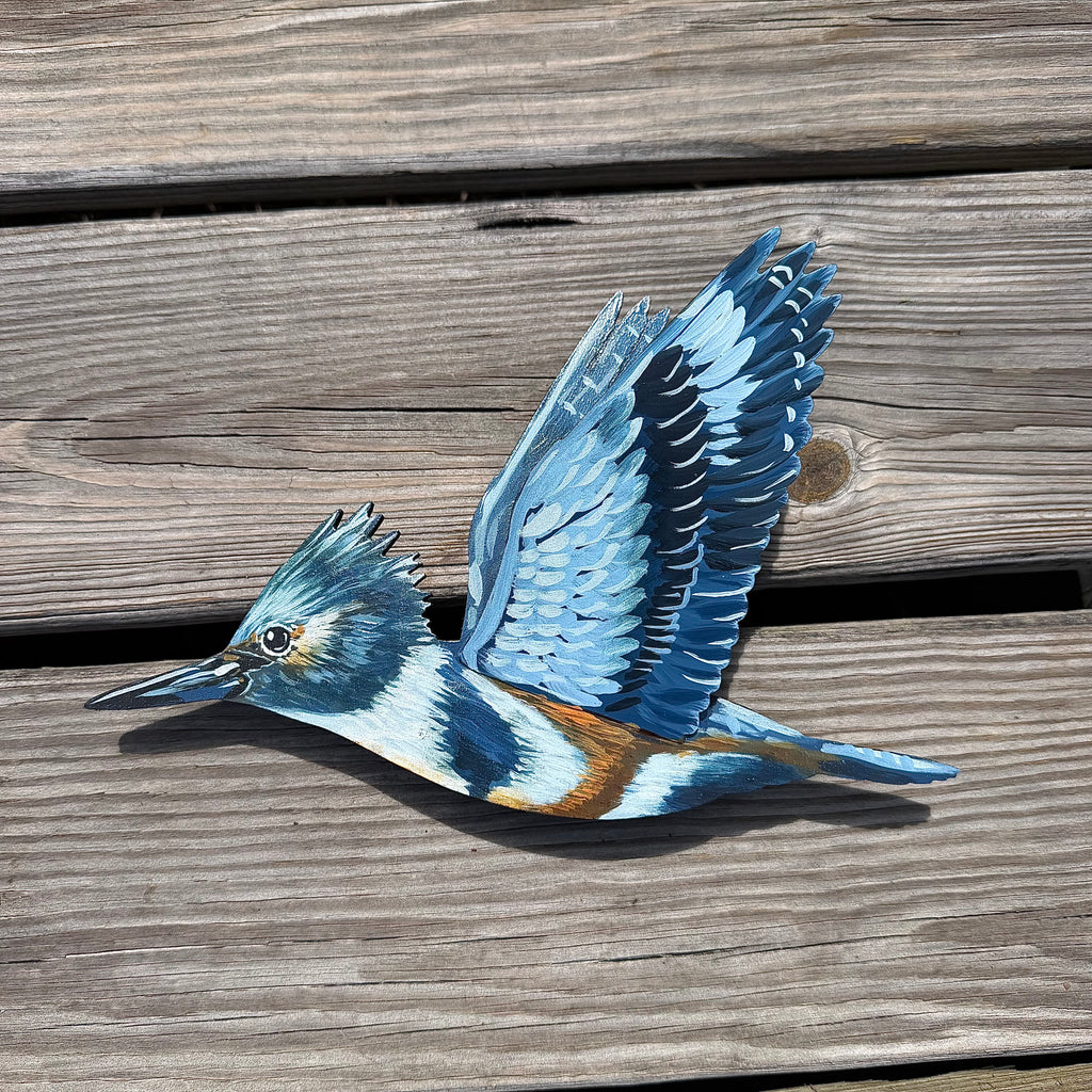 3D Kingfisher Dive Sequence