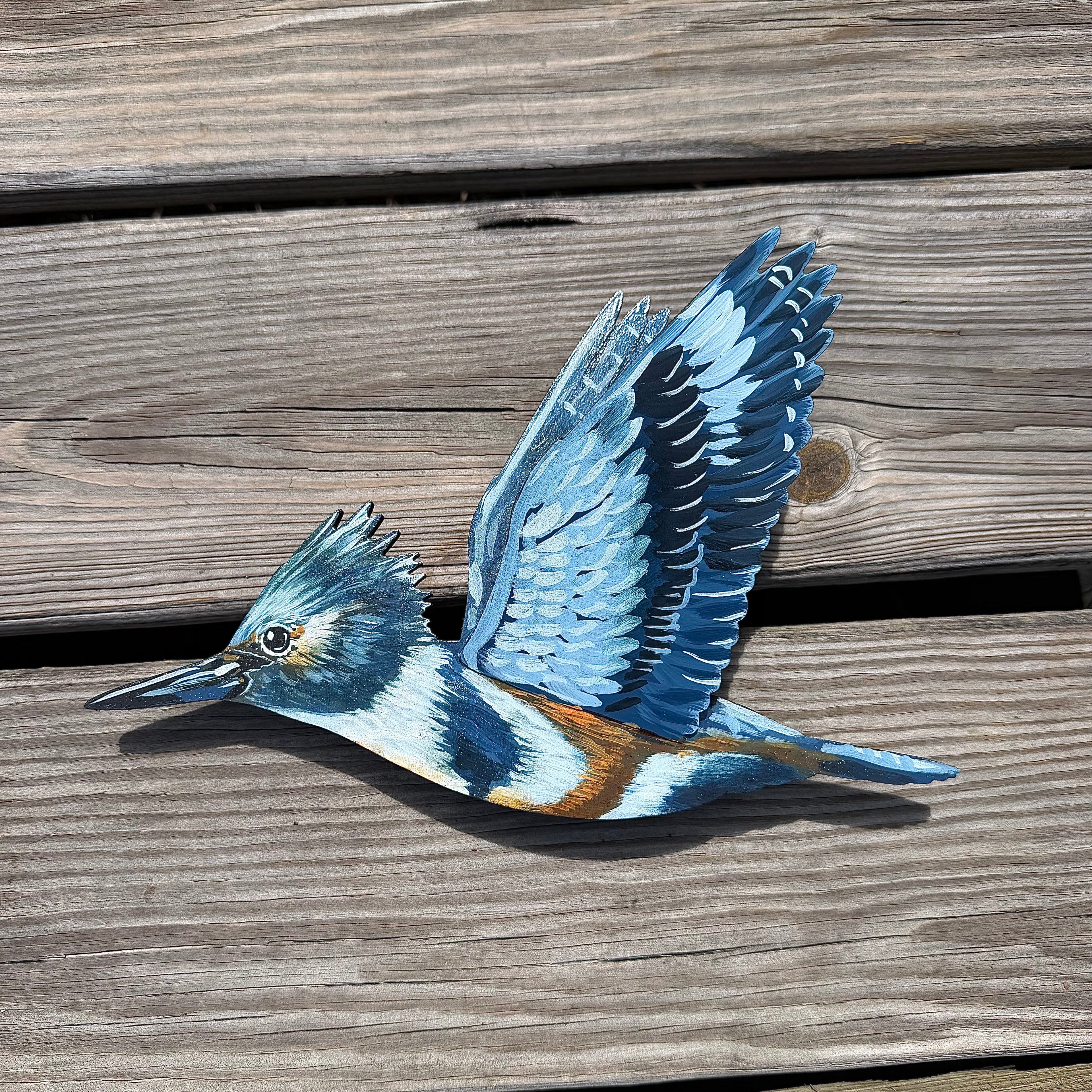 3D Kingfisher Dive Sequence