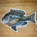 Bluegill Sticker