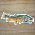 Brown Trout Sticker