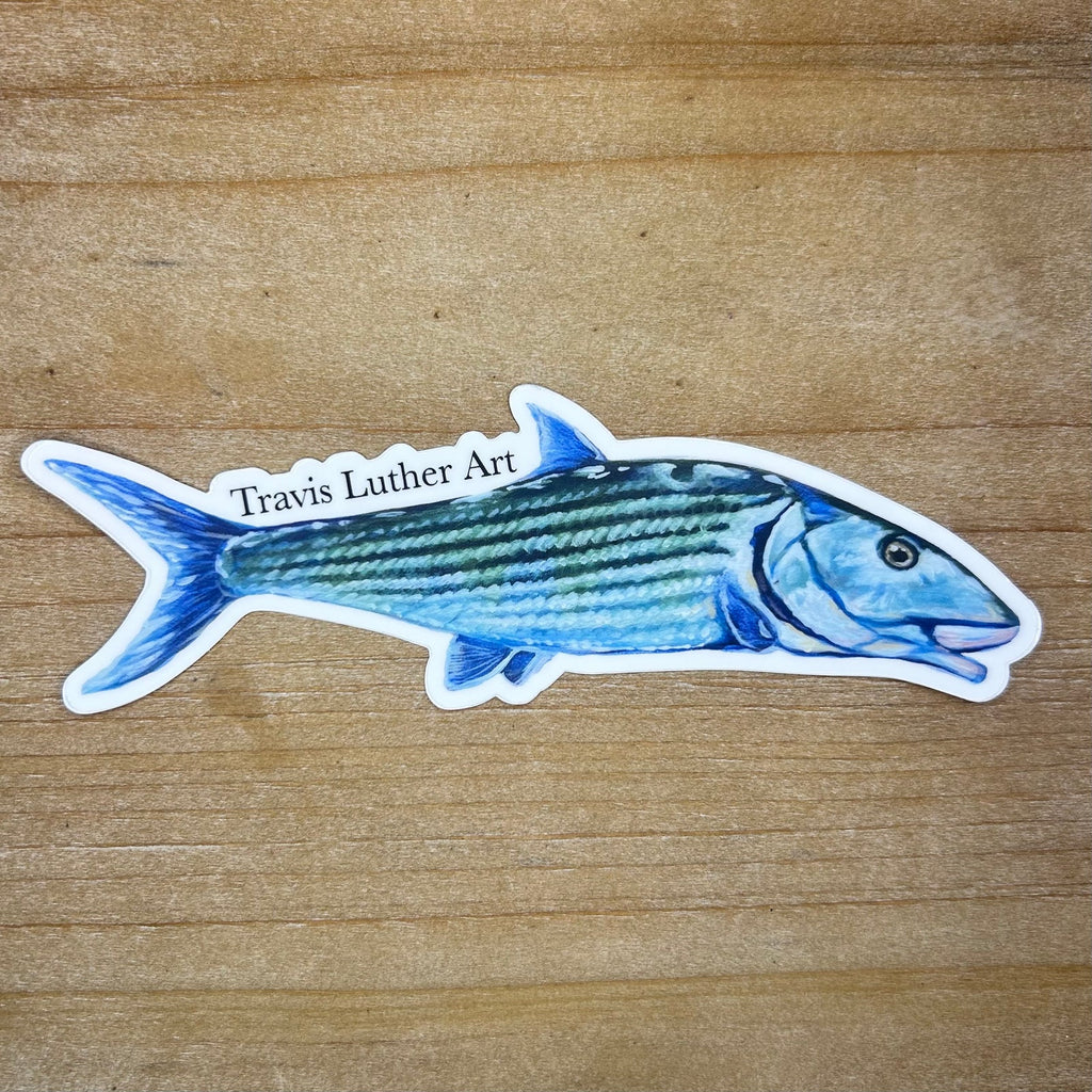 Saltwater Sticker Pack