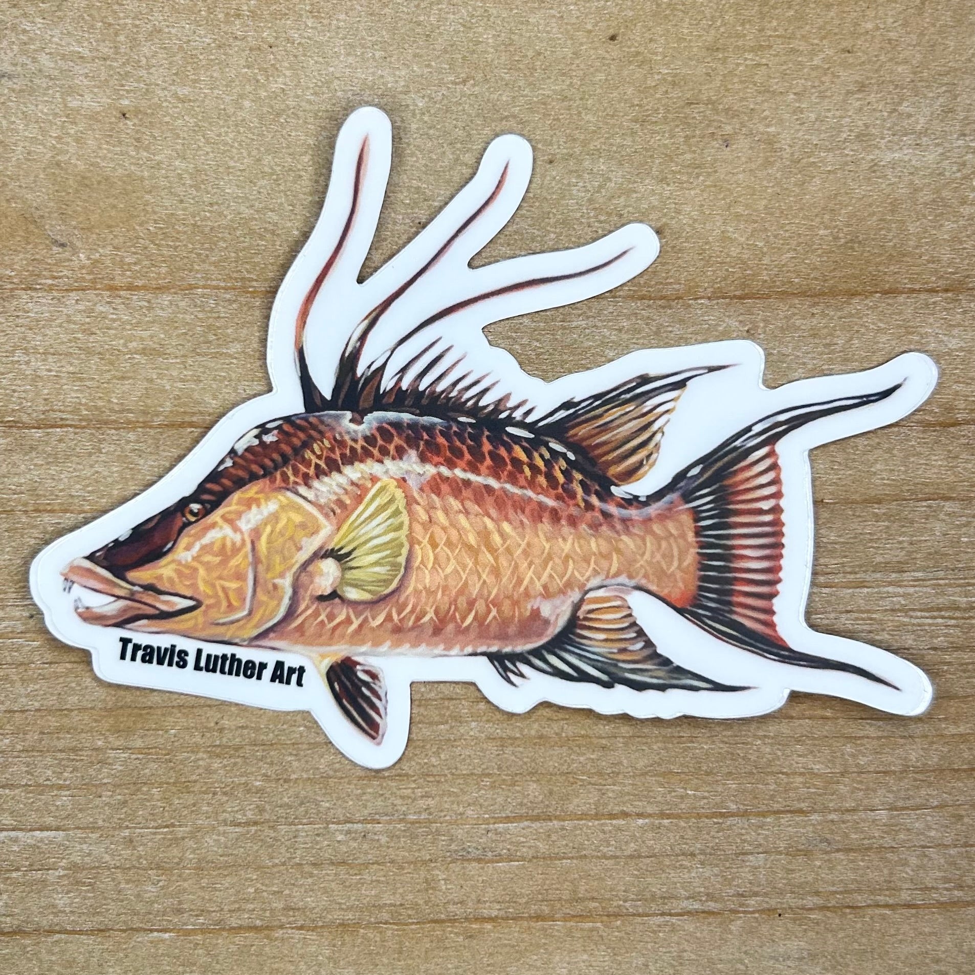 Hogfish Sticker