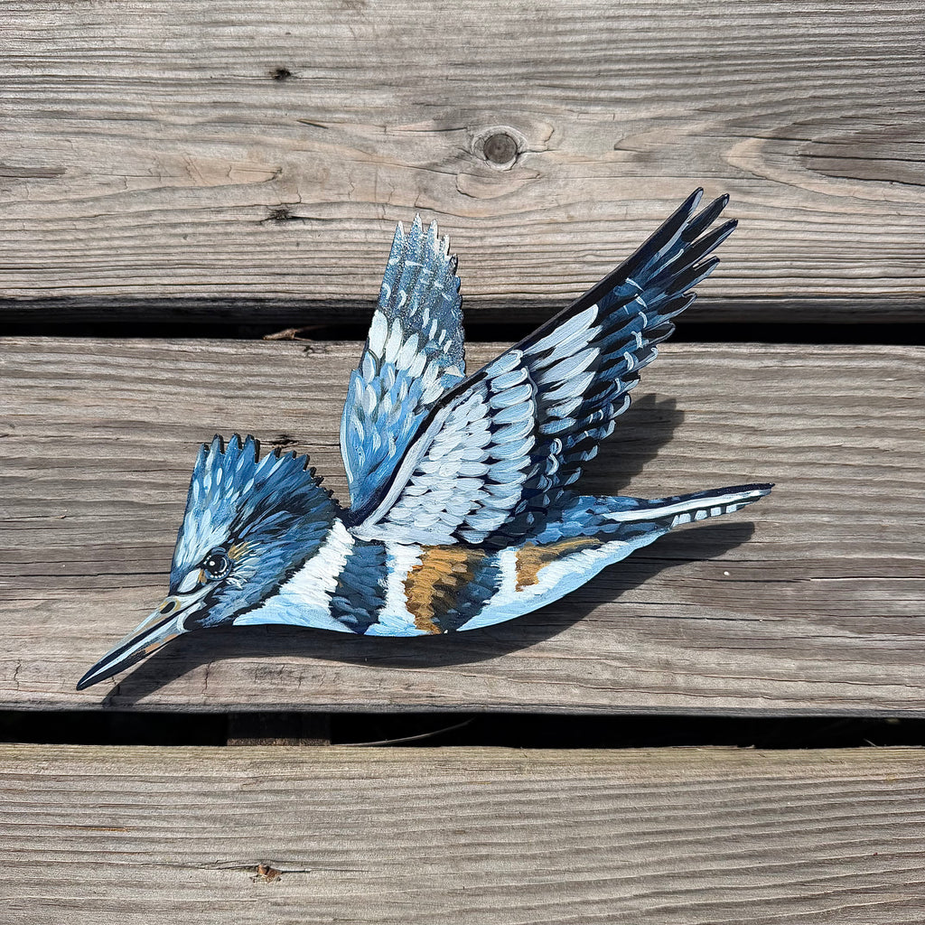 3D Kingfisher Dive Sequence