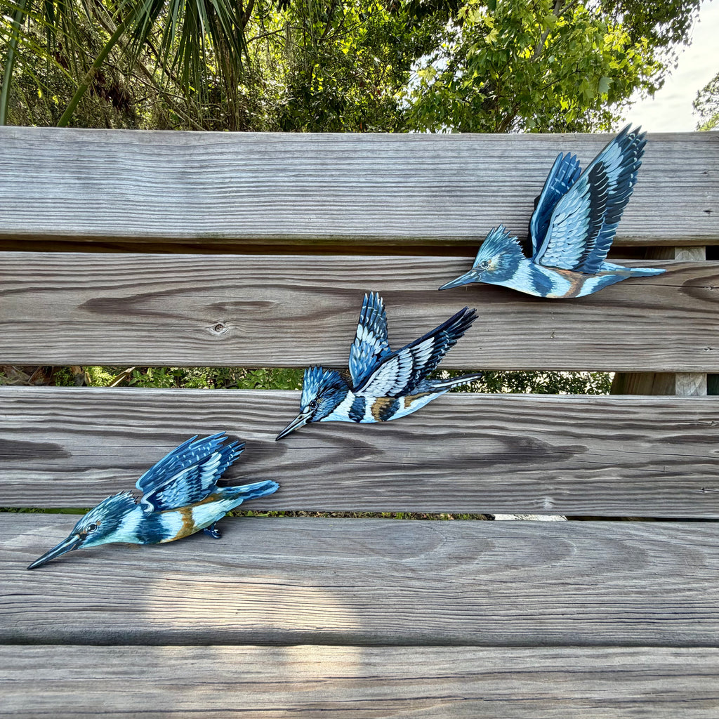 3D Kingfisher Dive Sequence