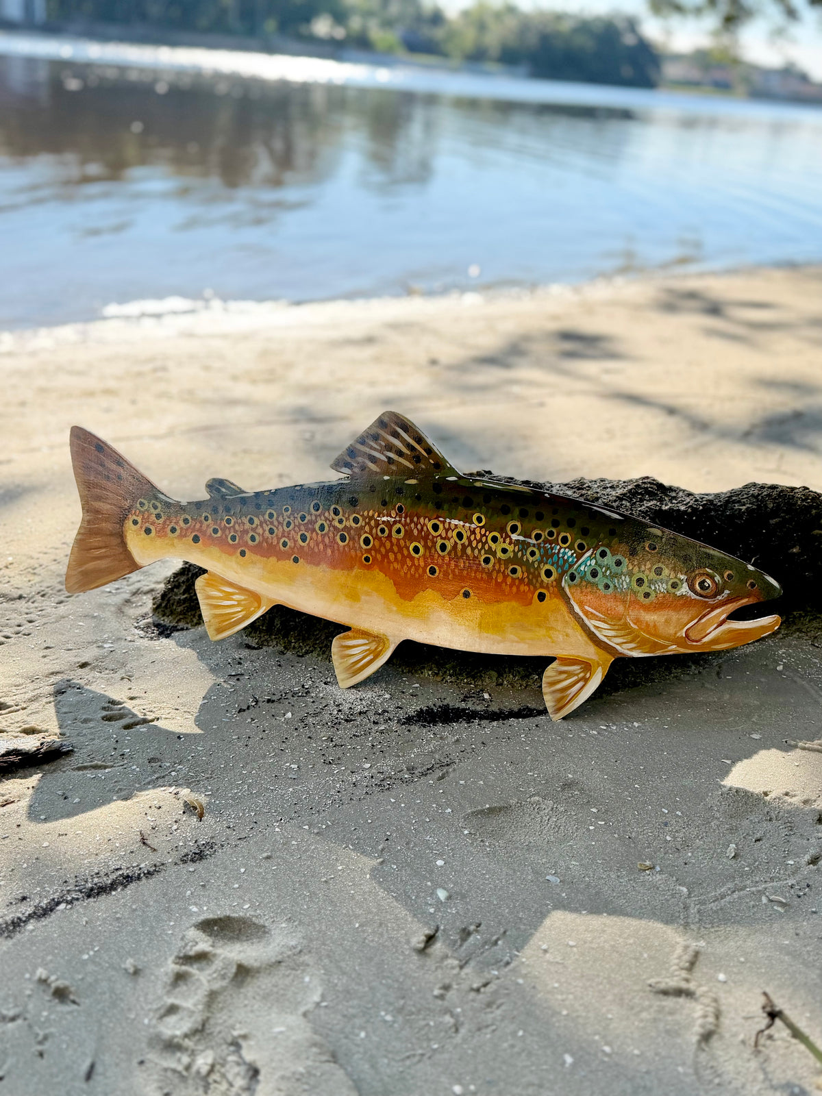 Brown Trout Free Hanging Wall Art