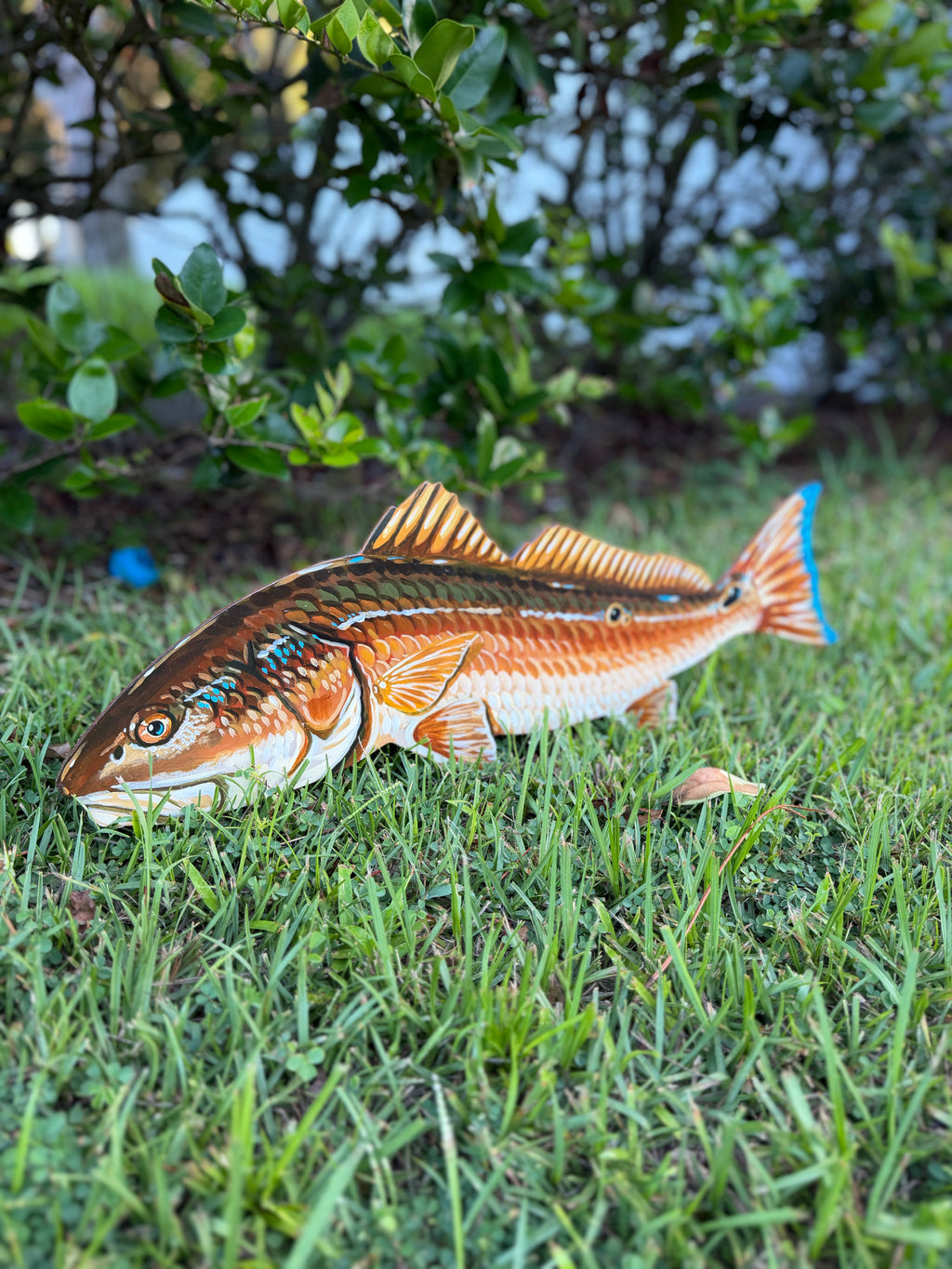 Redfish Wall Art