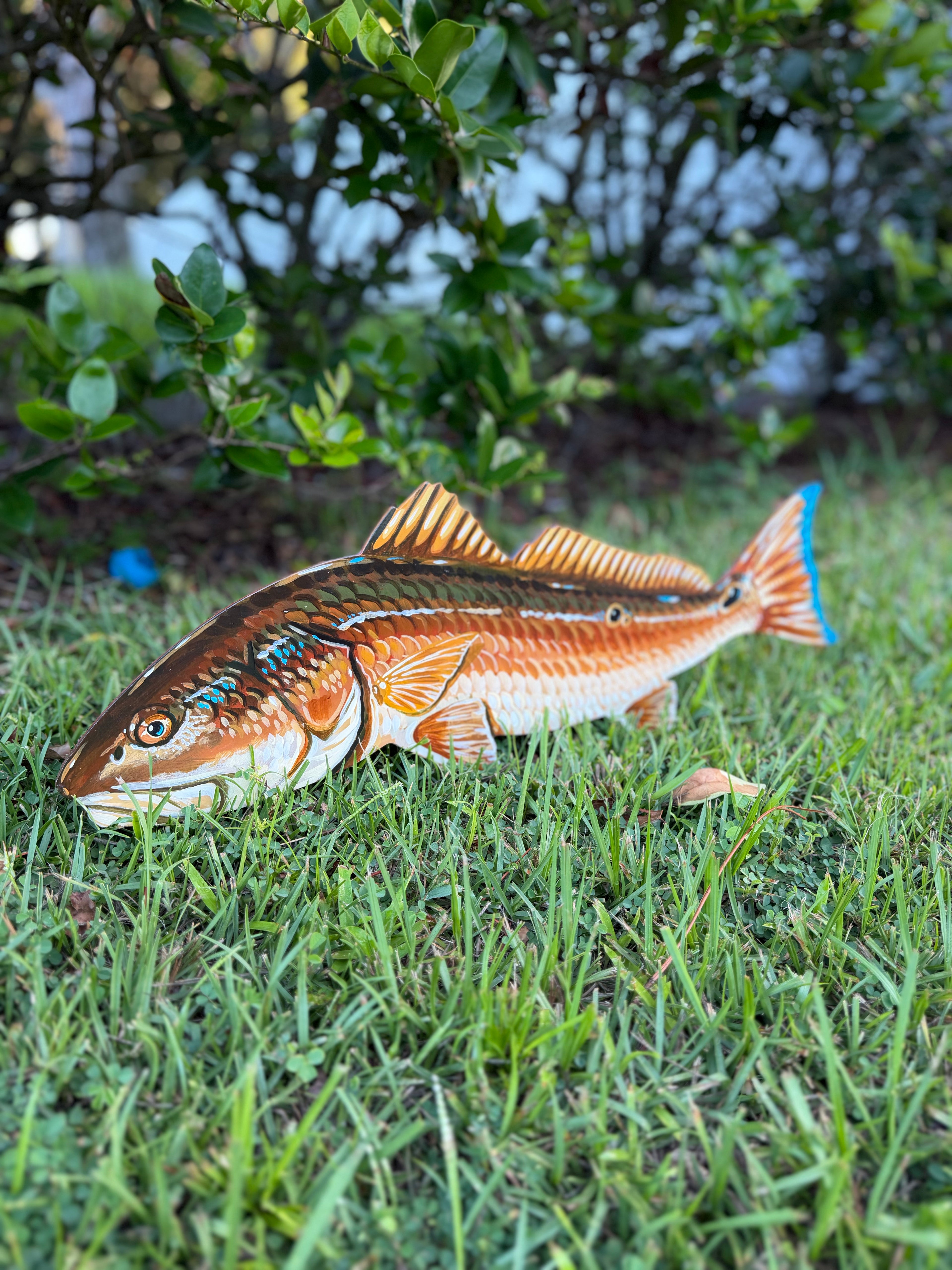 Redfish Wall Art