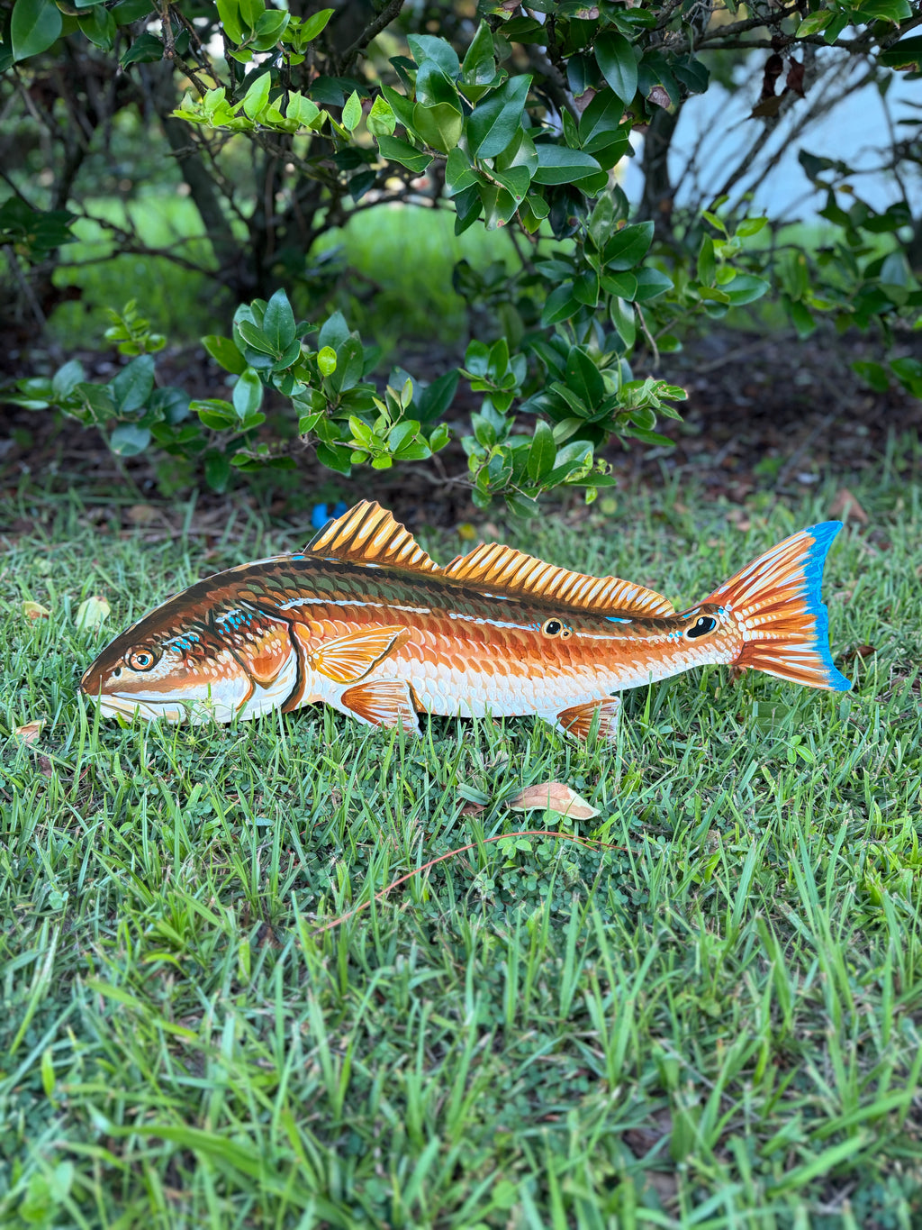 Redfish Wall Art