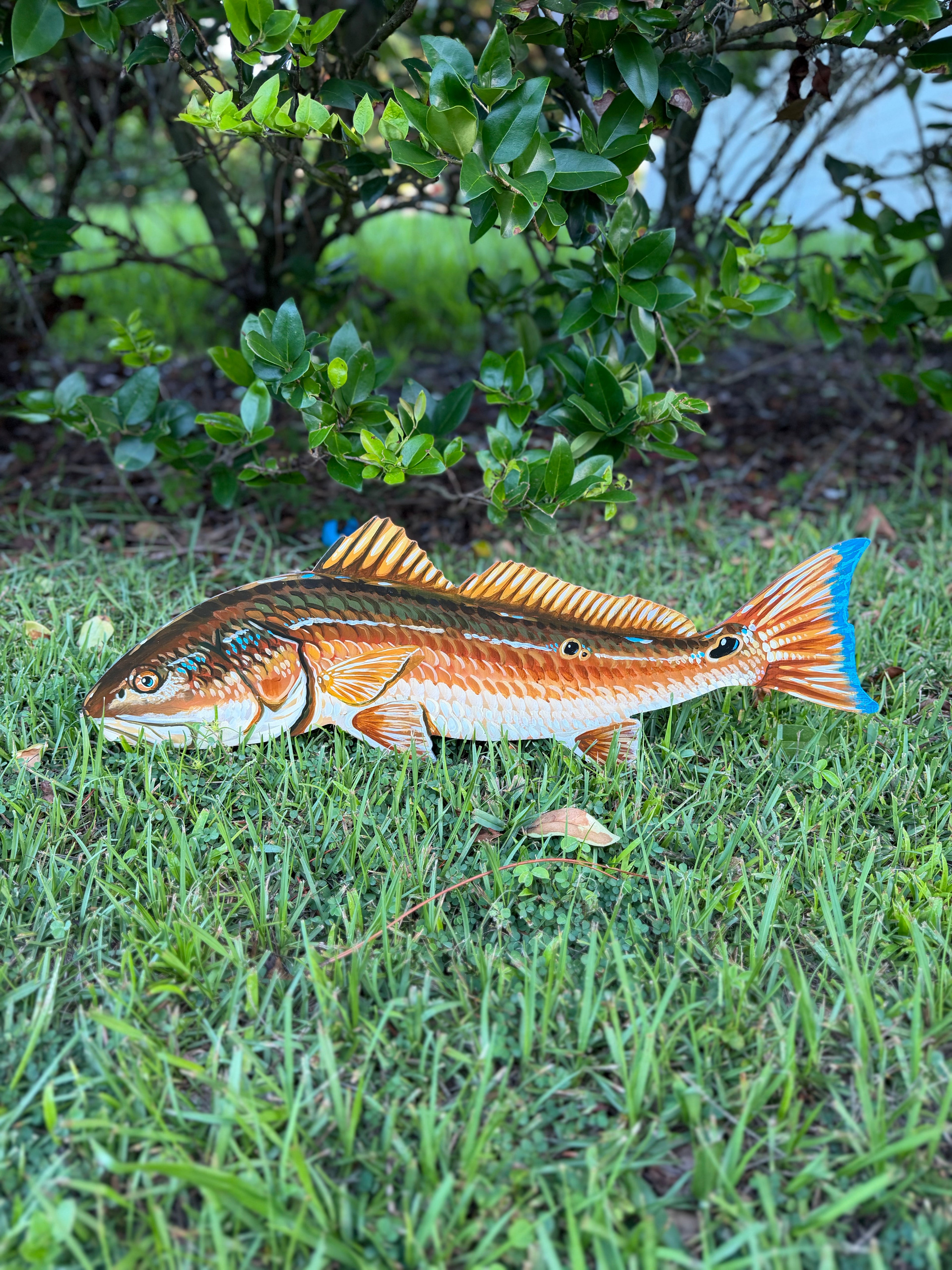 Redfish Wall Art