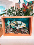 3D Trigger Fish Painting Framed