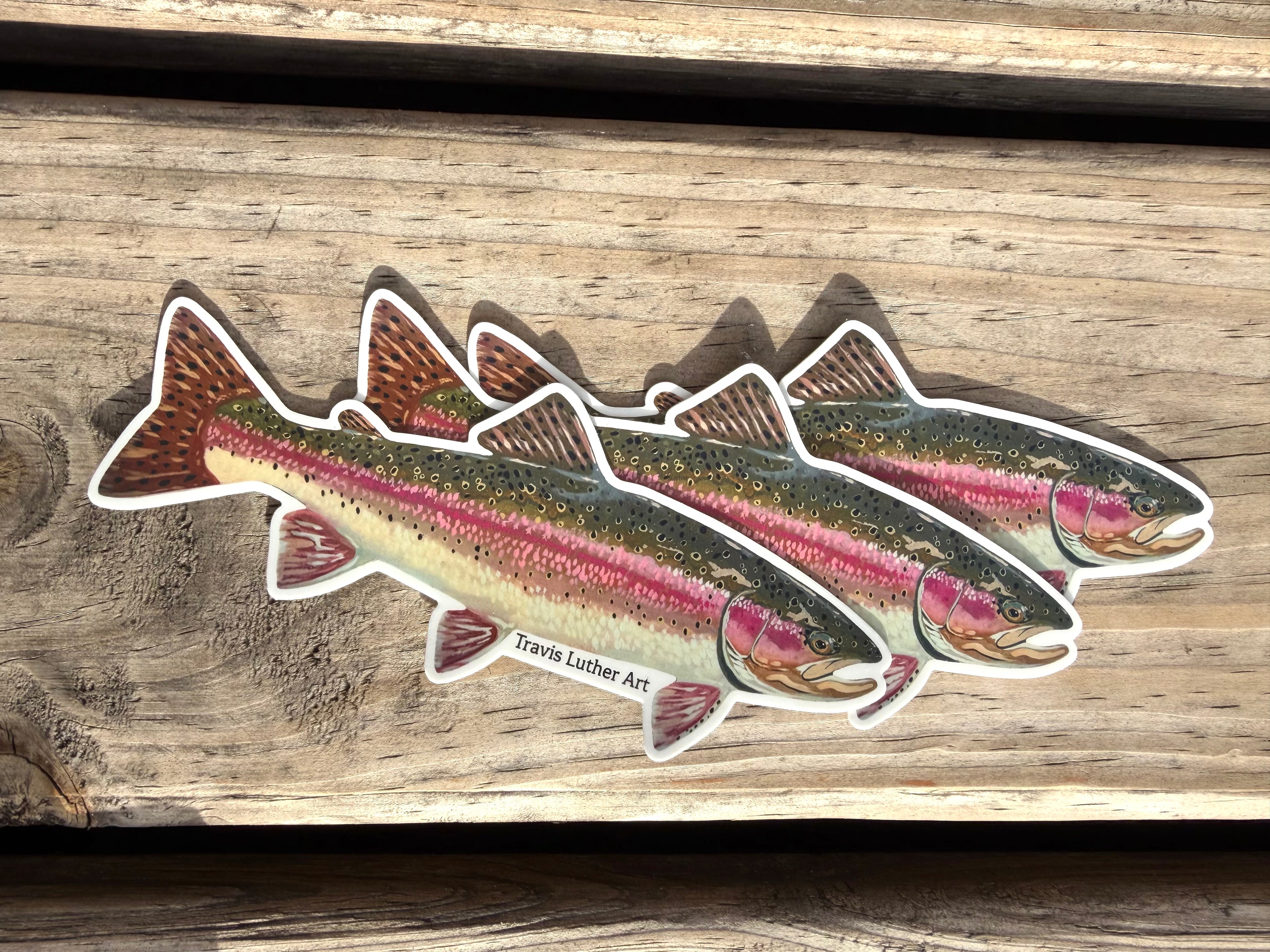 Rainbow Trout Sticker