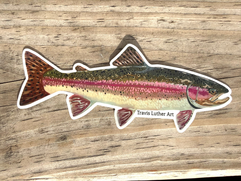 Rainbow Trout Sticker