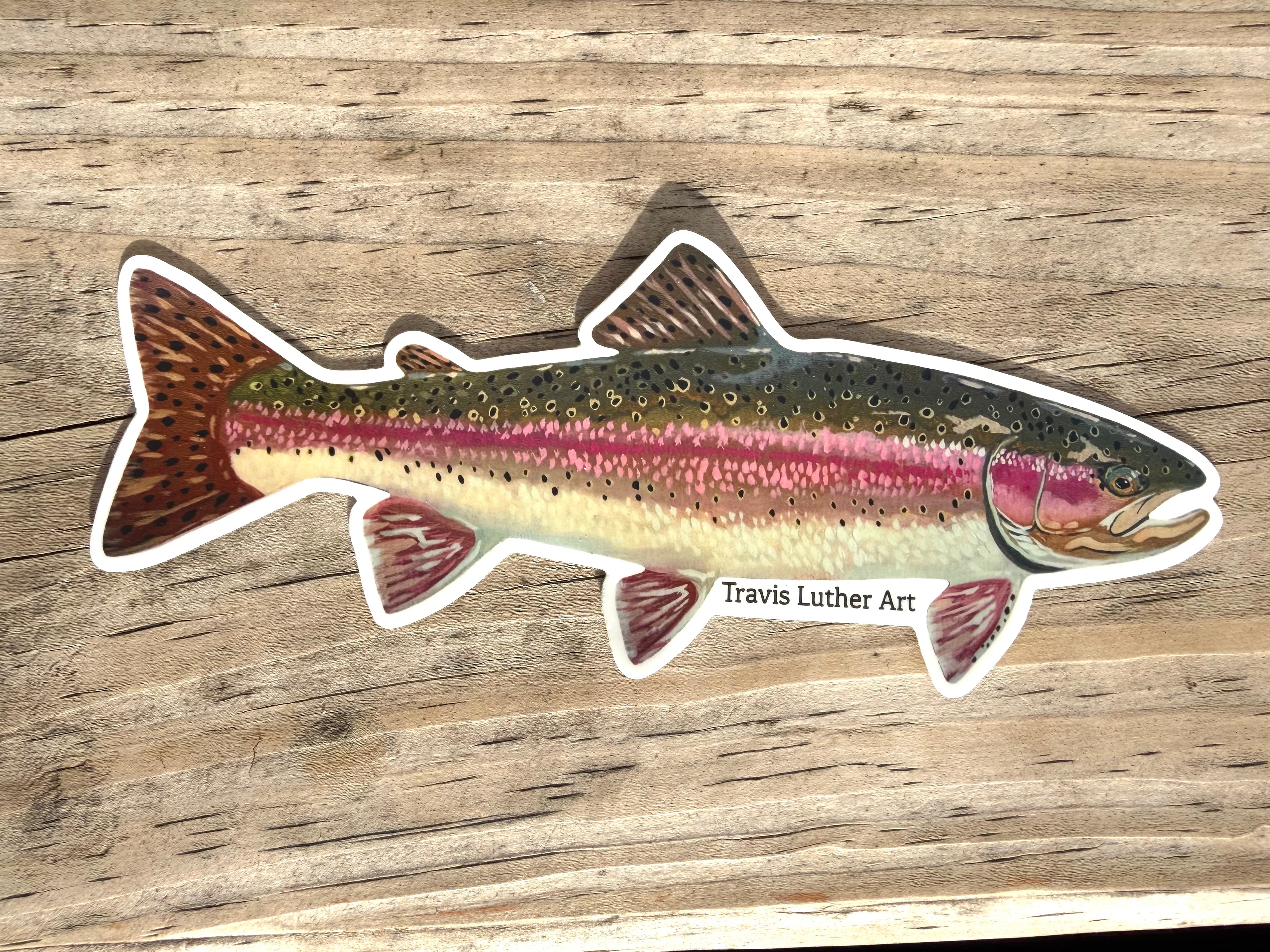 Rainbow Trout Sticker