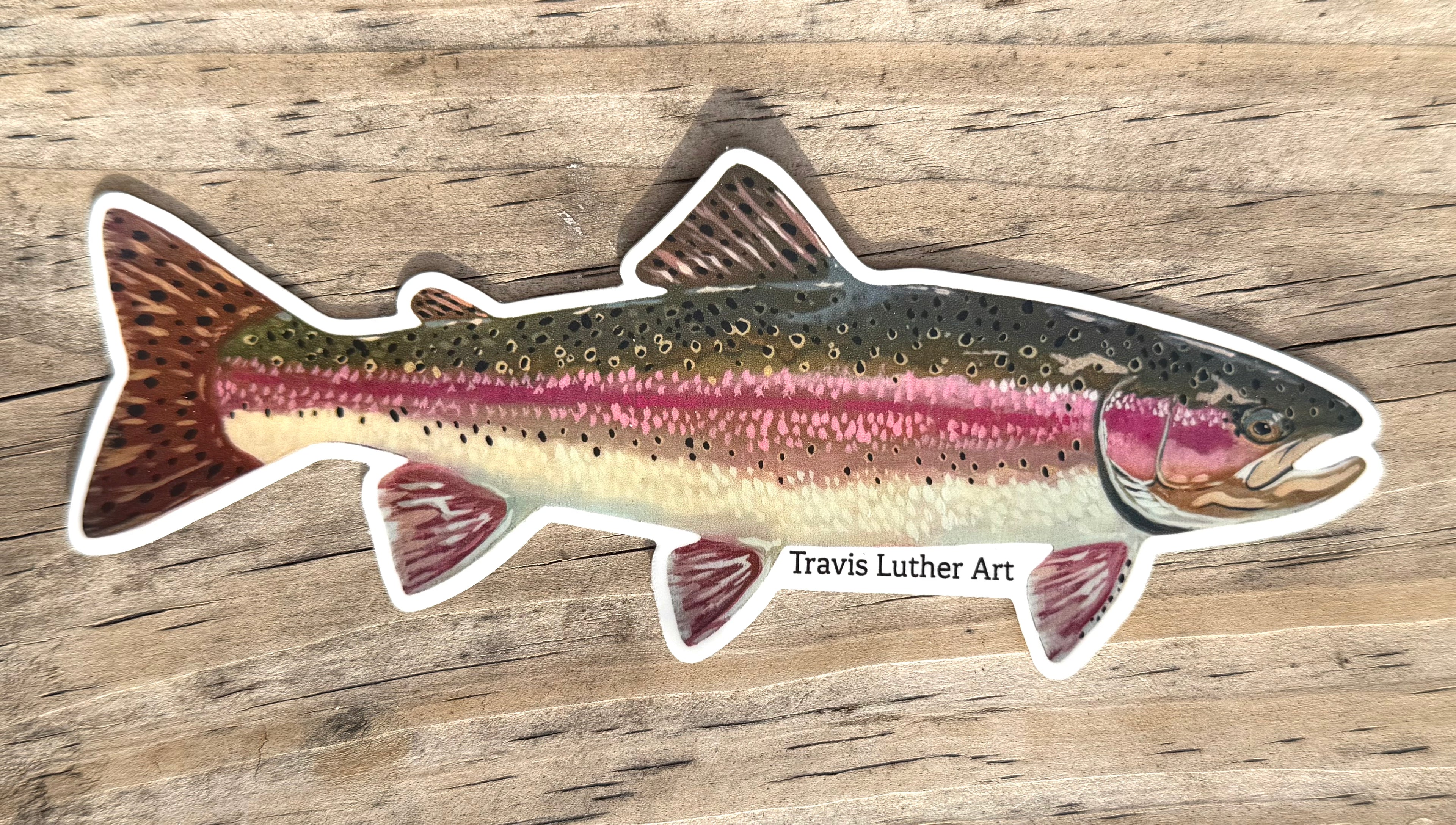 Rainbow Trout Sticker